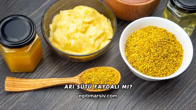 Arı Sütü Faydalı mı?