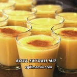 Boza Faydalı mı?