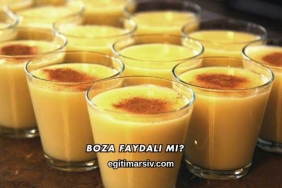 Boza Faydalı mı?
