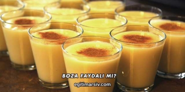 Boza Faydalı mı?