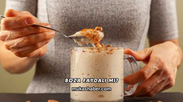 Boza Faydalı mı?