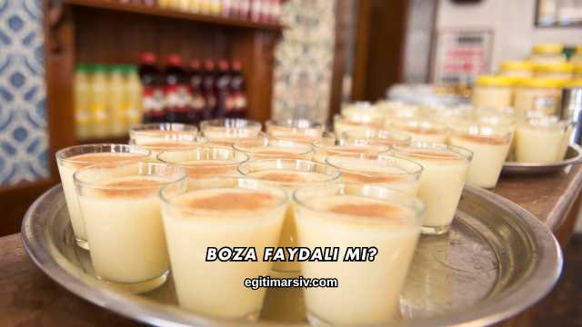 Boza Faydalı mı?