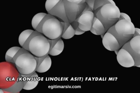 CLA (Konjuge Linoleik Asit) Faydalı mı?