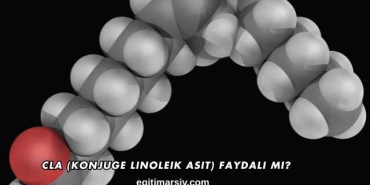 CLA (Konjuge Linoleik Asit) Faydalı mı?