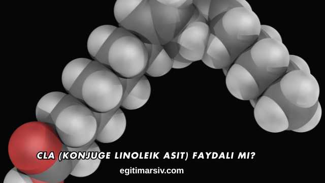 CLA (Konjuge Linoleik Asit) Faydalı mı?
