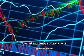 CW Enerji Hisse Alınır mı?