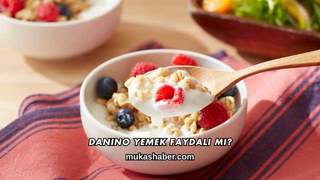 Danino Yemek Faydalı mı?