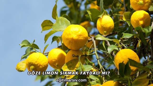 Göze Limon Sıkmak Faydalı mı?