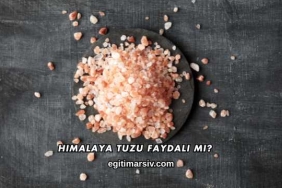 Himalaya Tuzu Faydalı mı?