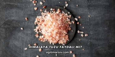 Himalaya Tuzu Faydalı mı?