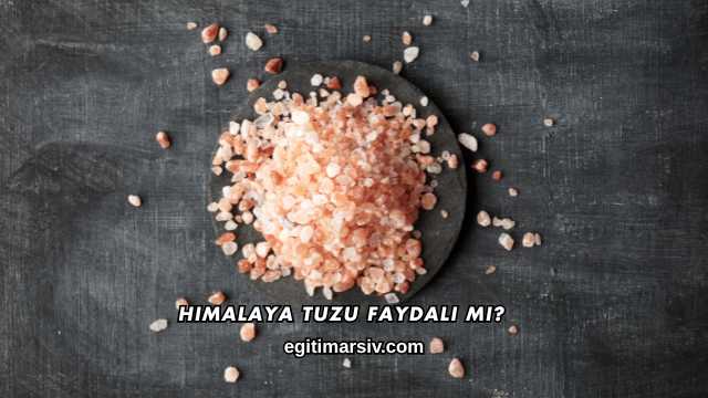 Himalaya Tuzu Faydalı mı?