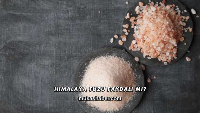 Himalaya Tuzu Faydalı mı?