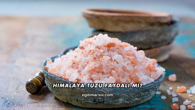 Himalaya Tuzu Faydalı mı?