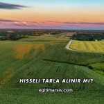 Hisseli Tarla Alınır mı?