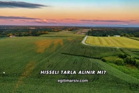 Hisseli Tarla Alınır mı?
