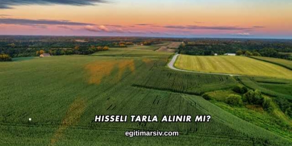 Hisseli Tarla Alınır mı?
