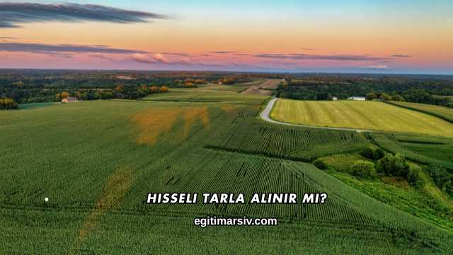 Hisseli Tarla Alınır mı?