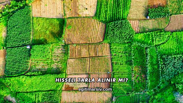 Hisseli Tarla Alınır mı?