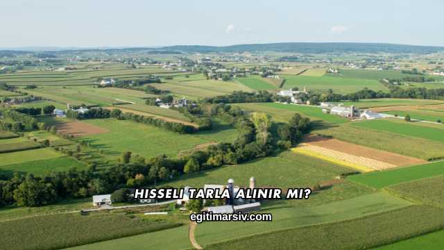 Hisseli Tarla Alınır mı?
