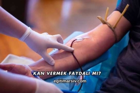 Kan Vermek Faydalı mı?