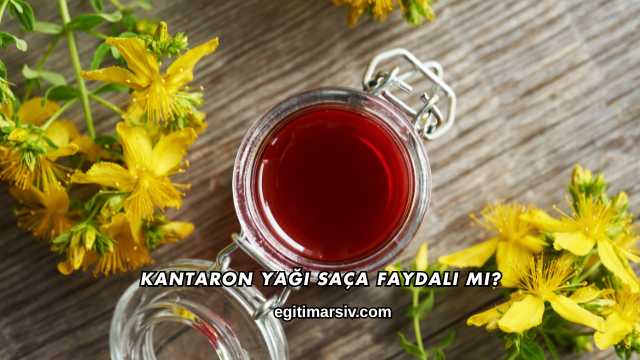 Kantaron Yağı Saça Faydalı mı?