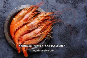 Karides Yemek Faydalı mı?