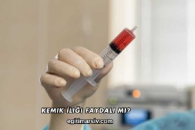 Kemik İliği Faydalı mı?