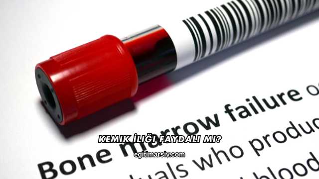 Kemik İliği Faydalı mı?