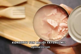 Konserve Ton Balığı Faydalı mı?