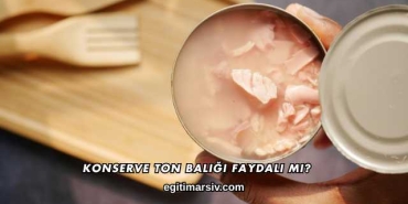 Konserve Ton Balığı Faydalı mı?