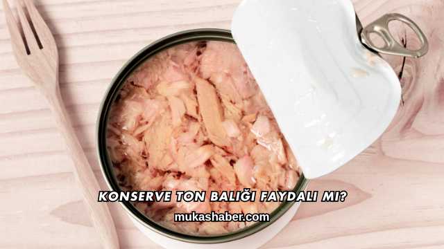 Konserve Ton Balığı Faydalı mı?