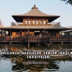 Konya Selçuklu Gezilecek Yerler (Gezi Rehberi ve Tavsiyeler)