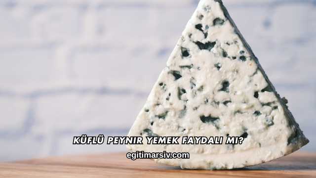 Küflü Peynir Yemek Faydalı mı?