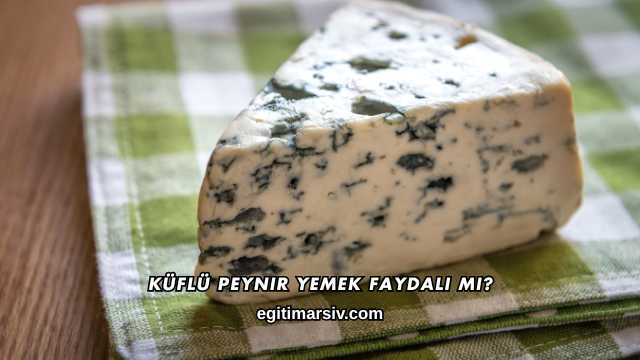 Küflü Peynir Yemek Faydalı mı?