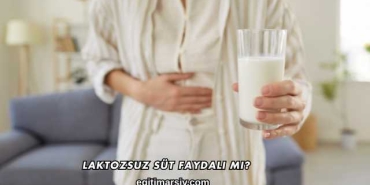 Laktozsuz Süt Faydalı mı?