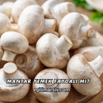 Mantar Yemek Faydalı mı?