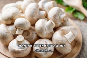 Mantar Yemek Faydalı mı?