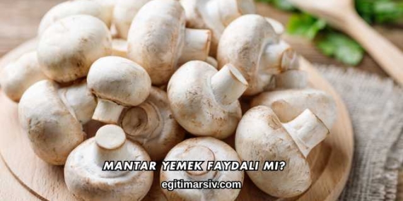 Mantar Yemek Faydalı mı?