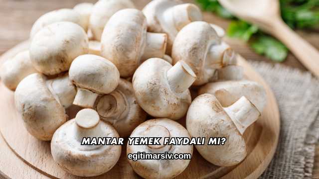 Mantar Yemek Faydalı mı?