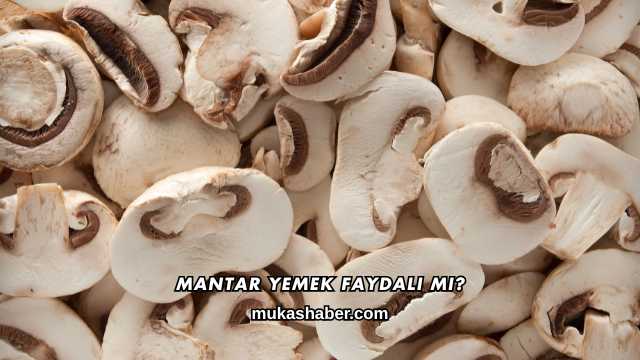 Mantar Yemek Faydalı mı?