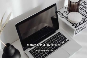 Monster Alınır mı?