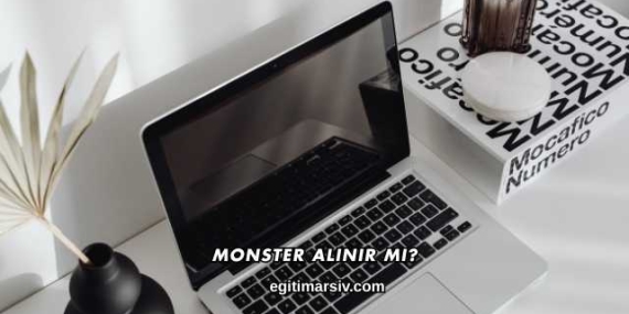 Monster Alınır mı?