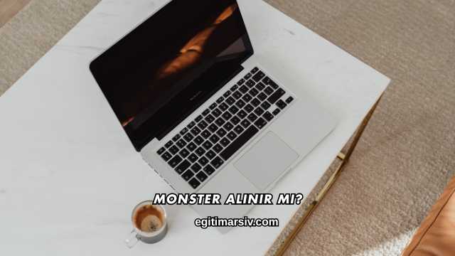 Monster Alınır mı?