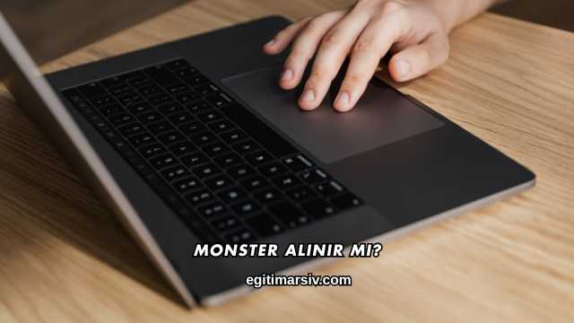 Monster Alınır mı?