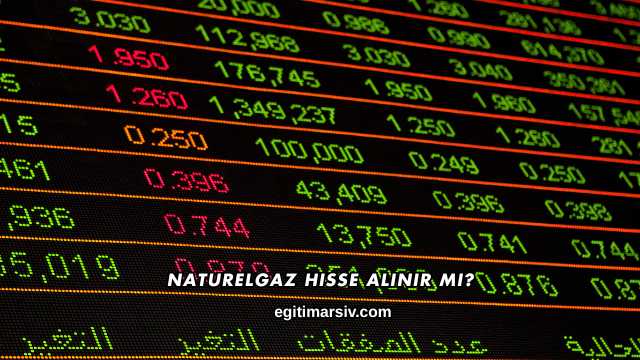 Naturelgaz Hisse Alınır mı?