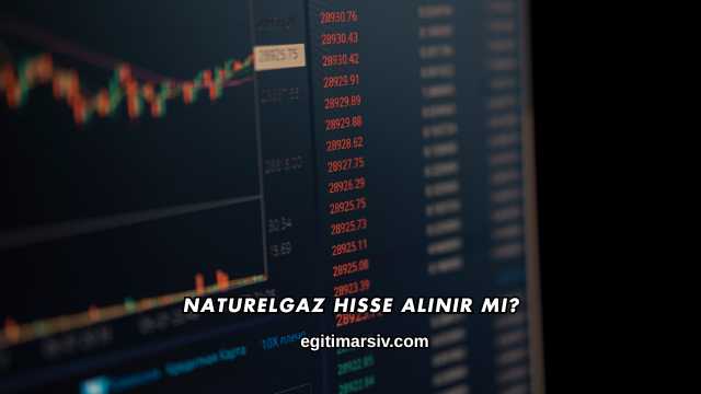 Naturelgaz Hisse Alınır mı?