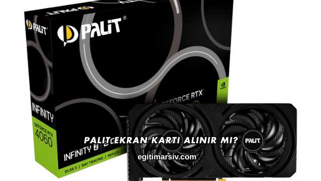 Palit Ekran Kartı Alınır mı?