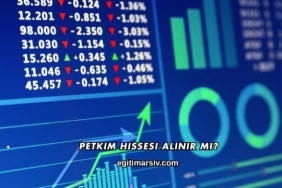 Petkim Hissesi Alınır mı?