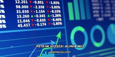 Petkim Hissesi Alınır mı?