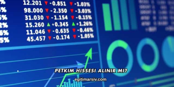 Petkim Hissesi Alınır mı?